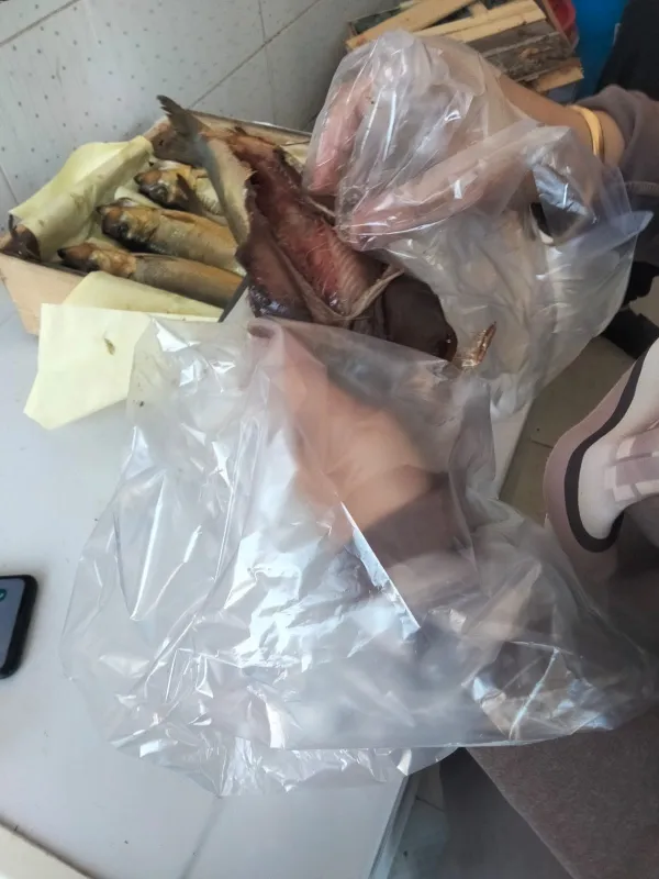 جانب من الحملات 