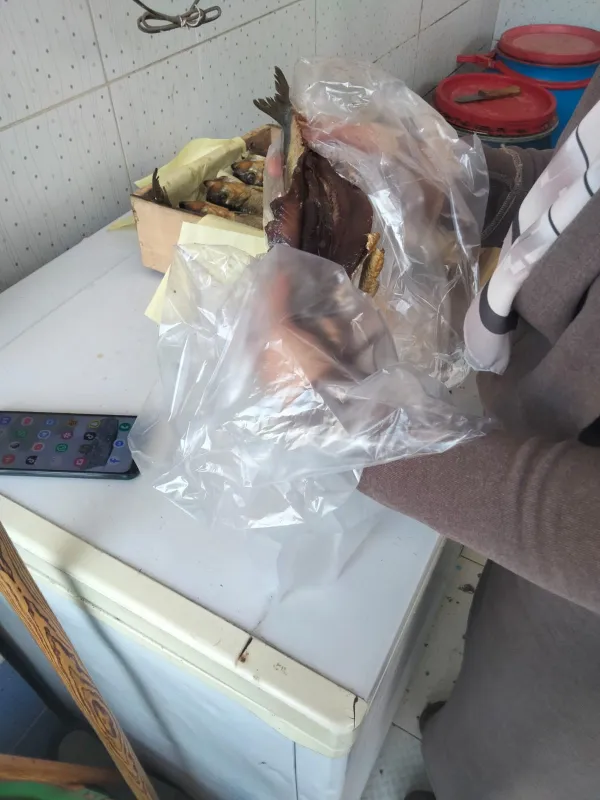 جانب من الحملات 