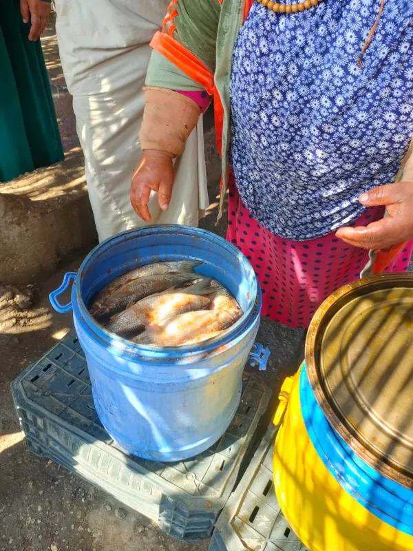 جانب من الحملات 