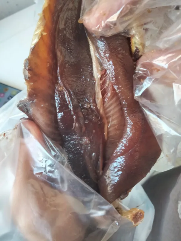 جانب من الحملات 