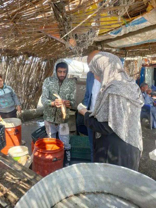 جانب من الحملات 