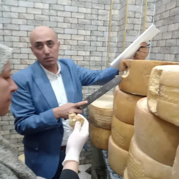 جانب من الحملات 