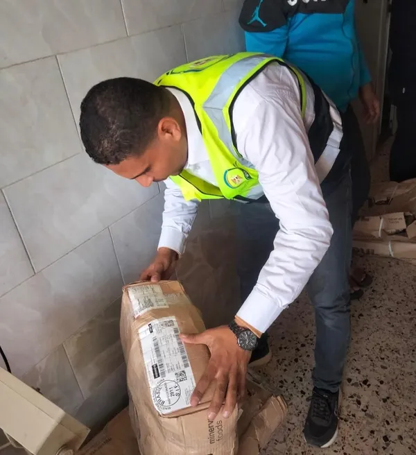 جانب من الحملات 