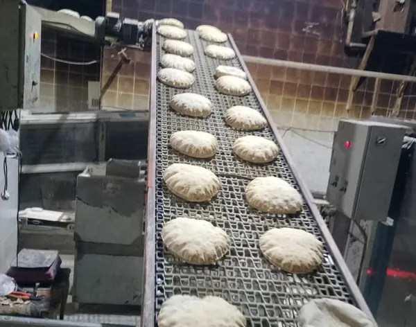 جانب من الحملات 