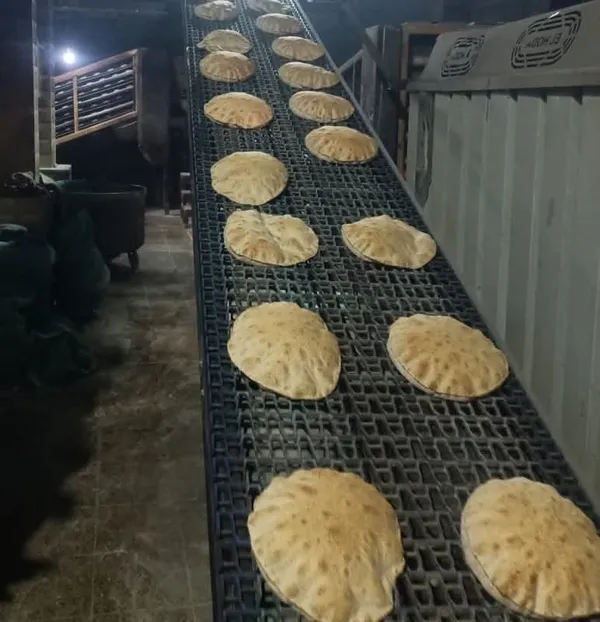 جانب من الحملات 