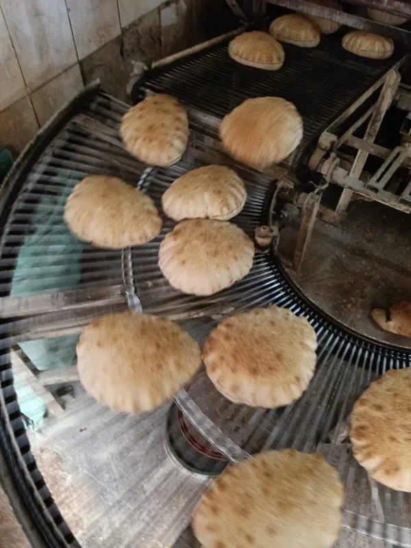 جانب من الحملة 