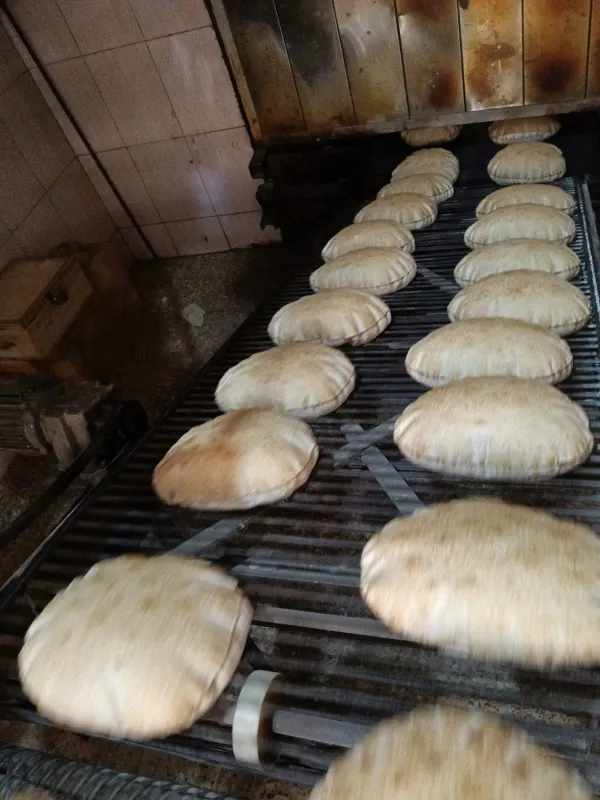 جانب من الحملة 