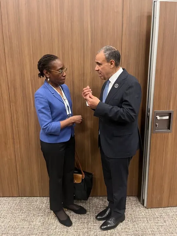 جانب من اللفاء