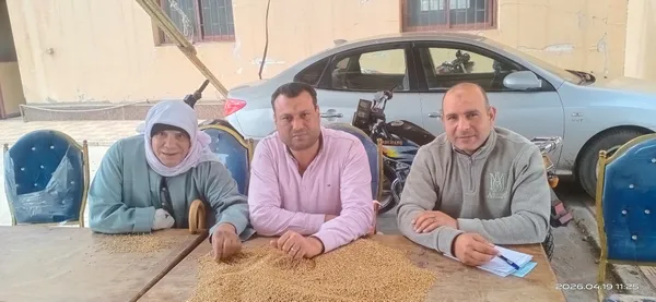 صوامع كفر الشيخ تستقبل الأقماح