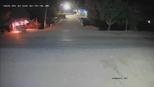 صور من الفيديو المتداول 