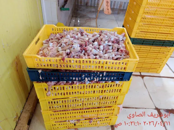 ضبوطات المنوفية