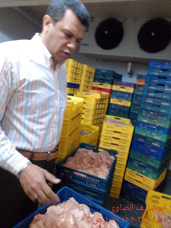 ضبوطات المنوفية