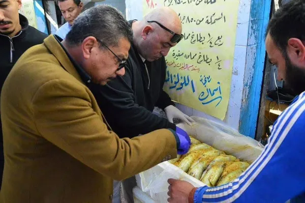 في شم النسيم… تموين بورسعيد : ضبط 119 كيلو فسيخ مجهول المصدر