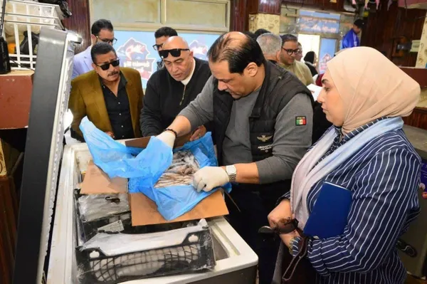 في شم النسيم… تموين بورسعيد : ضبط 119 كيلو فسيخ مجهول المصدر