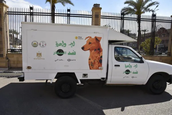 محافظ بورسعيد : حملات مكثفة لجمع الكلاب الحرة استجابة لمطالب المواطنين