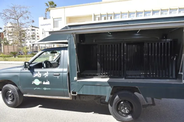 محافظ بورسعيد : حملات مكثفة لجمع الكلاب الحرة استجابة لمطالب المواطنين