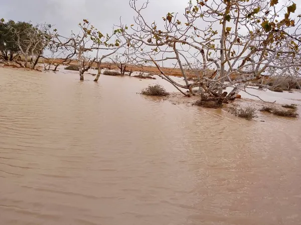 محافظة مطروح 