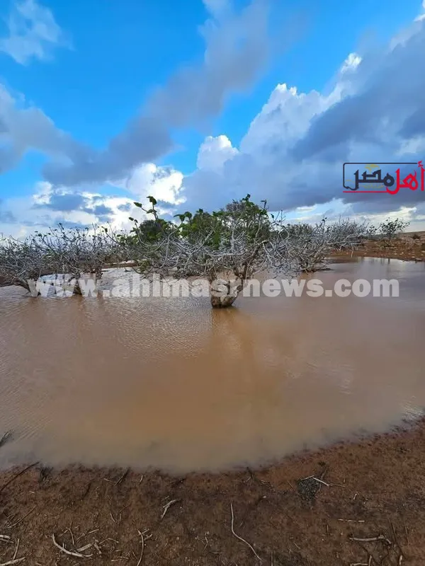 محافظة مطروح 