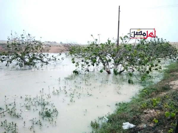 محافظة مطروح 