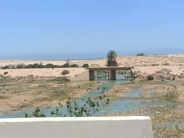 محافظة مطروح 