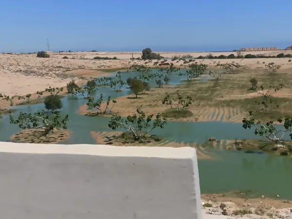 محافظة مطروح 