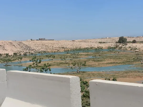 محافظة مطروح 