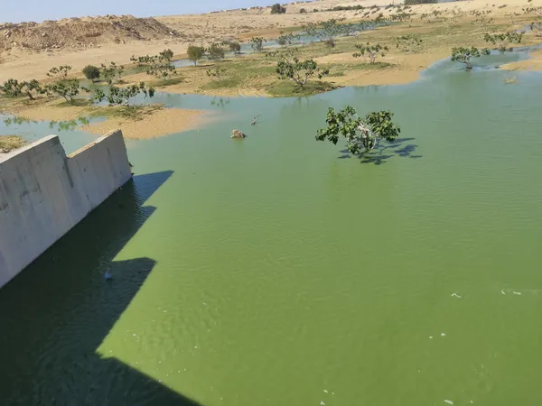 محافظة مطروح 