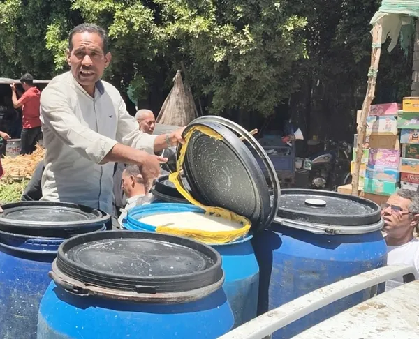 الألبان الفاسدة 