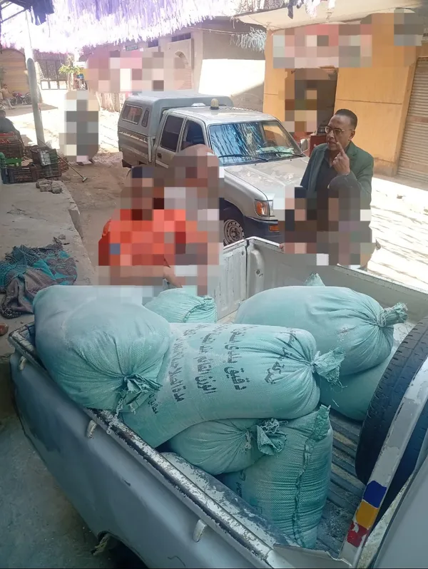 المنوفية 