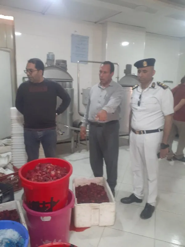 المنوفية 