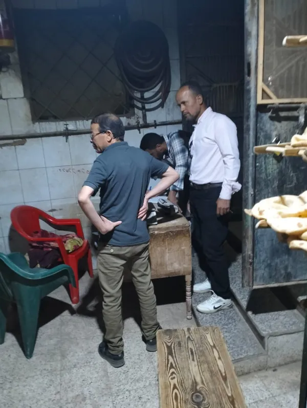 المنوفية 