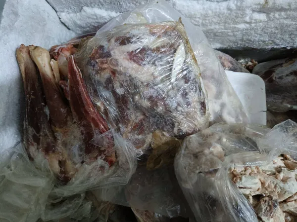 المنوفية