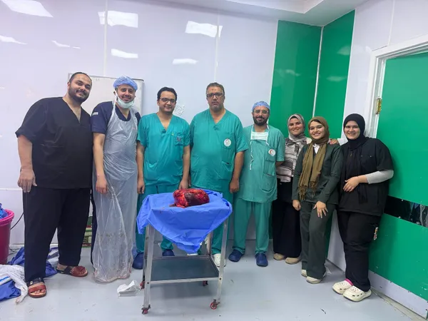 المنوفية 