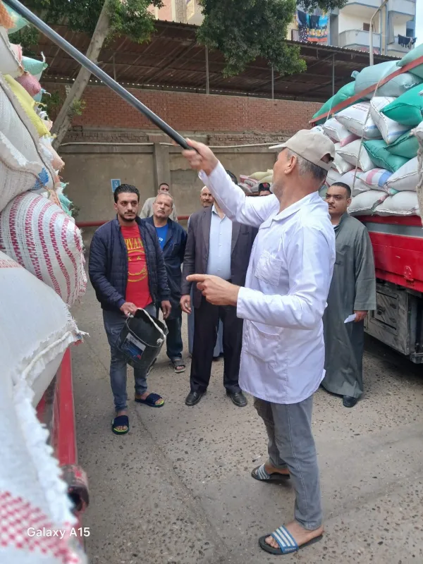 المنوفية 