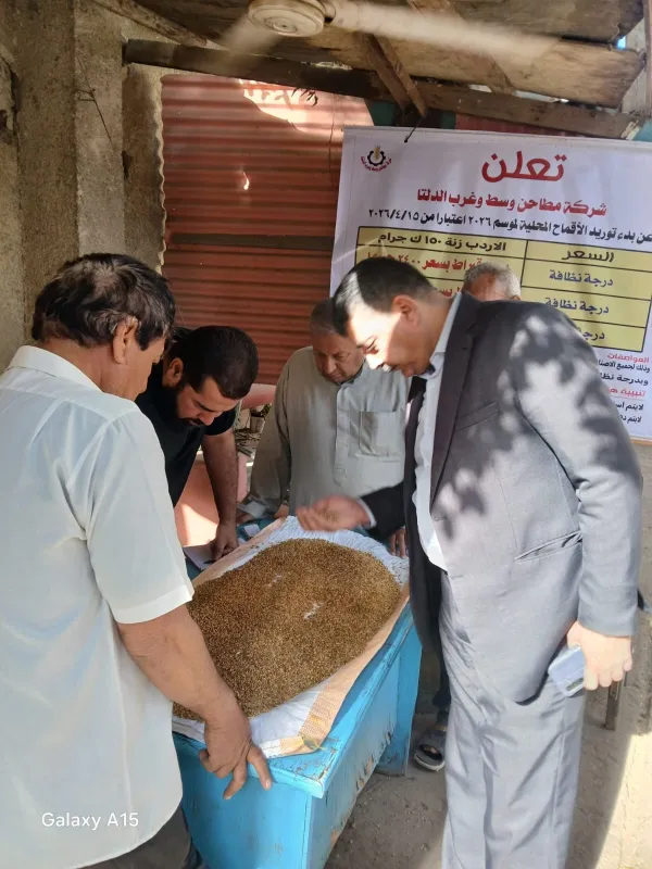 المنوفية 