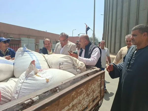 المنوفية 