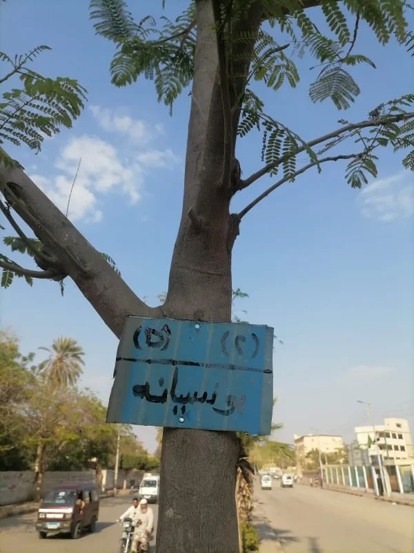 ترقيم الشجر 