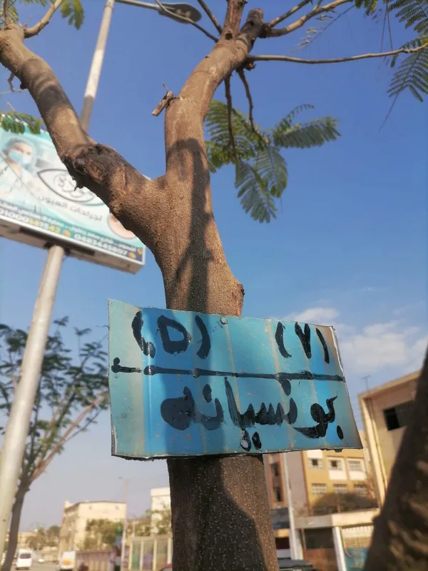 ترقيم الشجر 