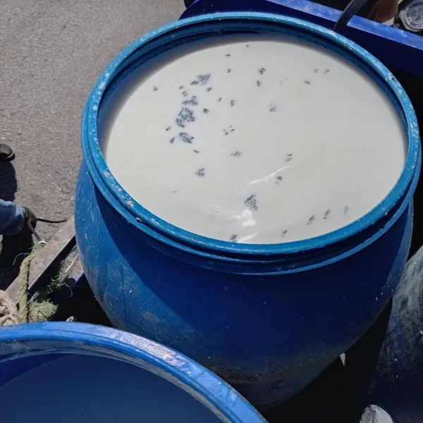 جانب ضبط البان فاسدة