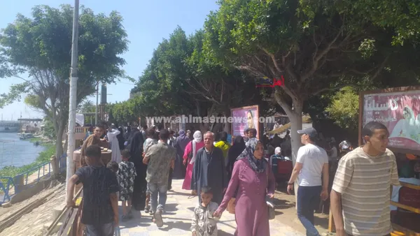 جانب من الاحتفالات بالحدائق 
