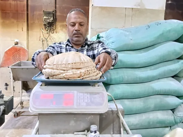 جانب من الحملات 