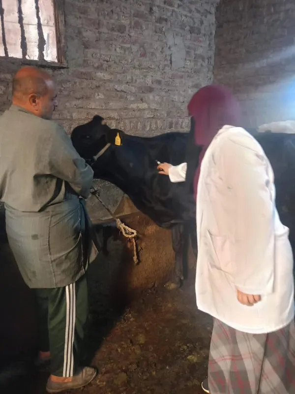 جانب من الحملة 