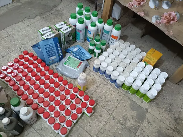 جانب من الضبطيات