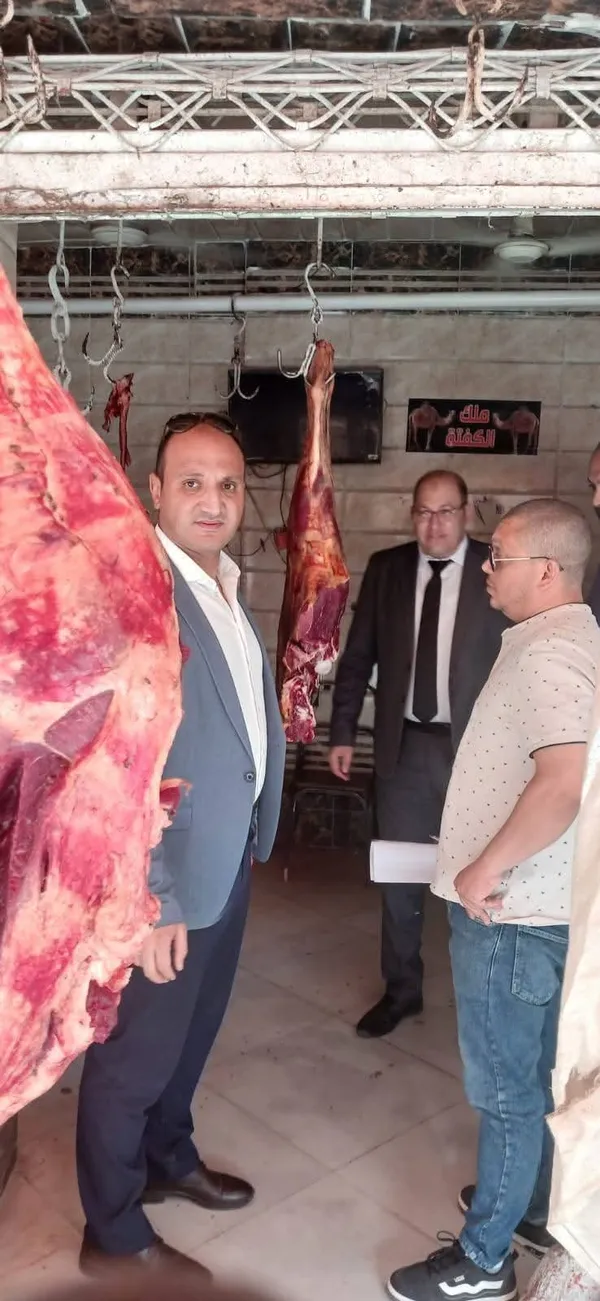 دواجن فاسدة ببنى سويف 