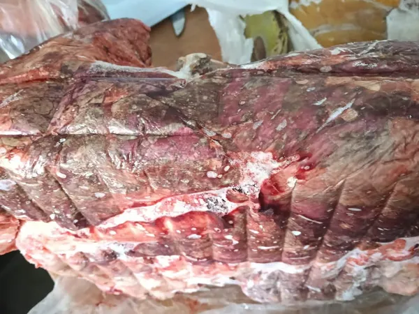 ضبط ٤ أطنان أغذية فاسدة وغير صالحة للاستهلاك الآدمي بالمنطقة الصناعية