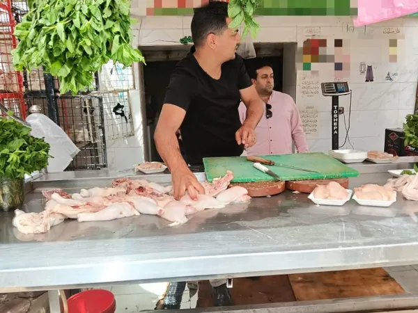 ضبط دواجن