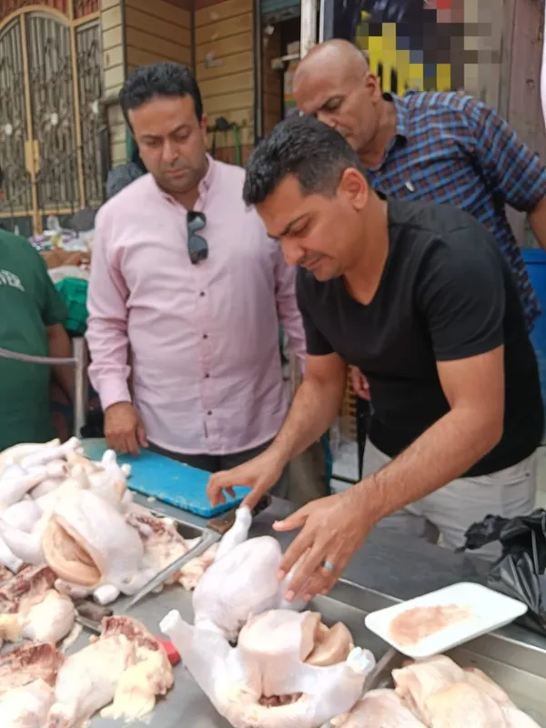 ضبط دواجن