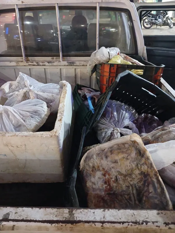 ضبوطات المنوفية 