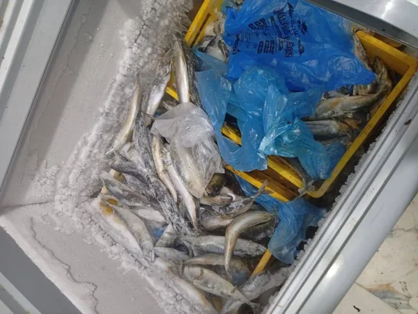 ضبوطات المنوفية 