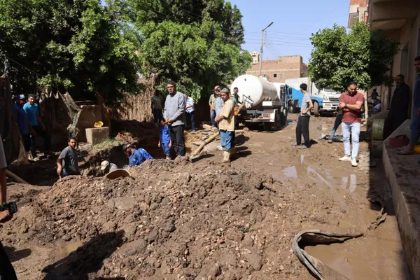 المنوفية 